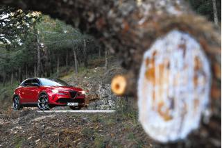 Alfa Romeo Junior Veloce 280Ps 